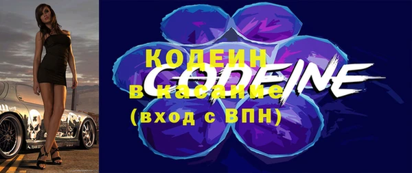 бошки Инта