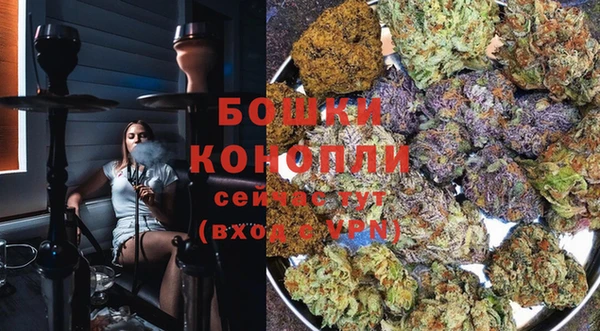 2c-b Инсар