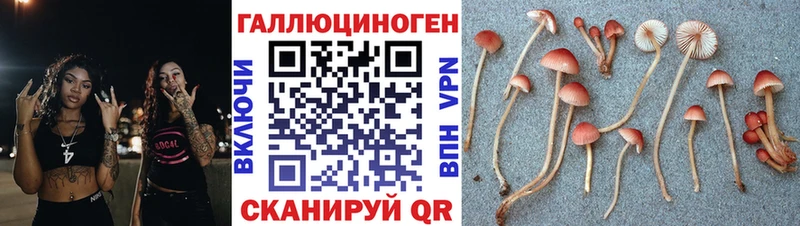 Купить закладки  Володарск  Псилоцибиновые грибы Psilocybine cubensis 